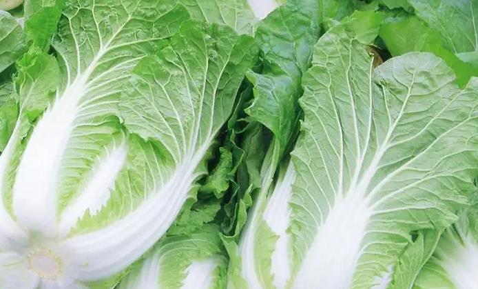 The spiritual meaning of dreaming of cabbage