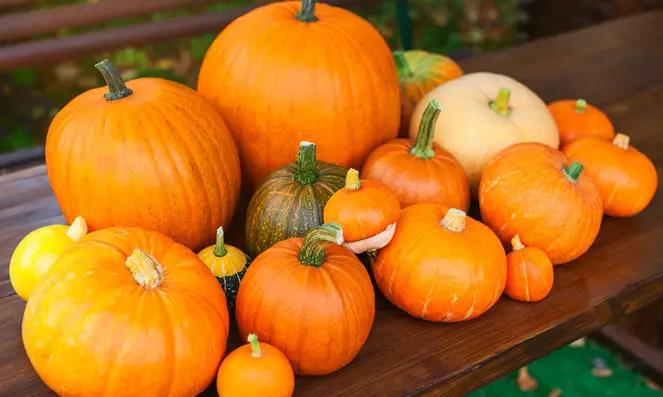 The spiritual meaning of dreaming about pumpkins