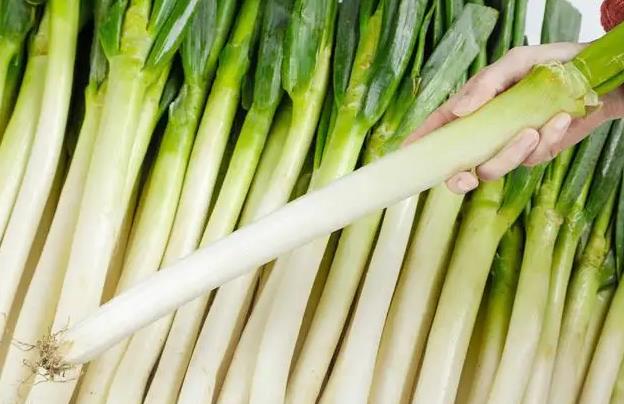 The spiritual meaning of dreaming of green onions